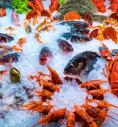 Gute Fische in Mölschow und Umgebung