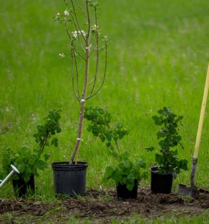 Außenanlagen mit Stil, Ihr Gartenprofi in Augsburg und Umgebung