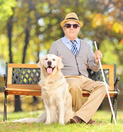 Aktive Trips für Senioren in Ingolstadt