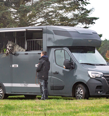 Verlässlicher Pferdetransport vom Profi Brandenburg