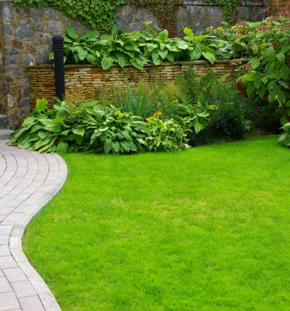 Günstiger Gartenbauer in Berlin und Brandenburg