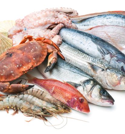 Premium Meeresfrüchte Sundhagen