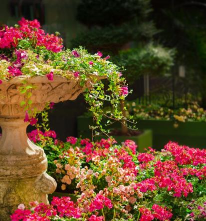 Die besten Naturgärten Mutterstadt und Umkreis