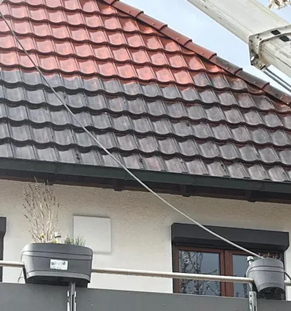 Günstige Dachreinigung in Baden-Württemberg