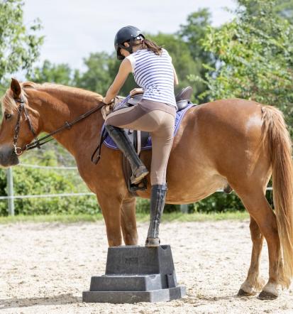 Günstige Sommercamps mit Pferden in Barth