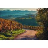 Horizont & Linie Ausflugsfahrten