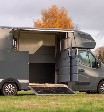 Bester Pferdetransport vom Profi Brandenburg