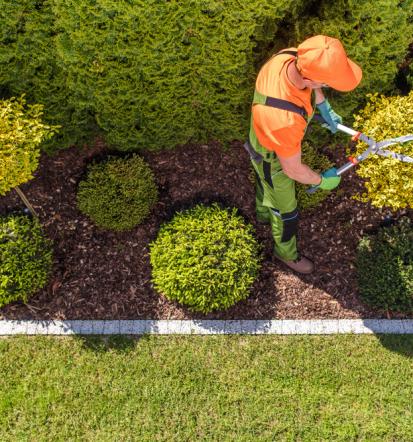 Ihr Experte für nachhaltige Pflege- und Gartenkonzepte in Berlin und Brandenburg