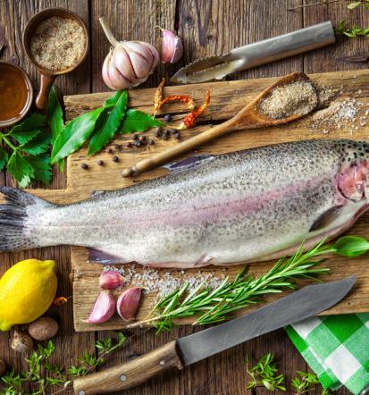 Beste Fische in Mölschow und Umgebung