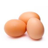 Eier- & Nudelhof Martina Berger