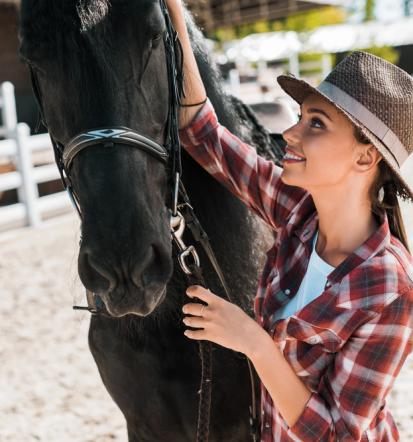 Sommercamps mit Pferden für Jugendliche in Barth