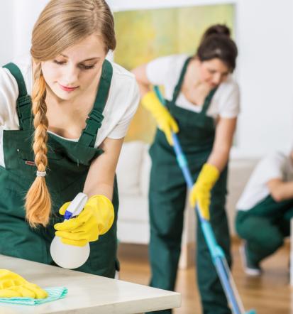 Streifenfreie Fenster und glänzende Böden in Friedrichsdorf