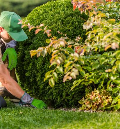 Zuverlässige Gartenpflege für das ganze Jahr in Cappeln und Umgebung