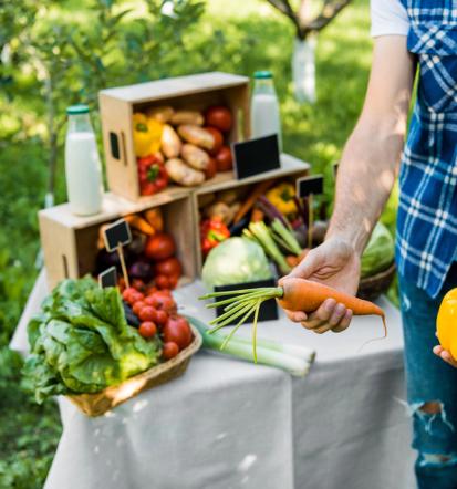 Frische und Öko-Produkte aus Criewen