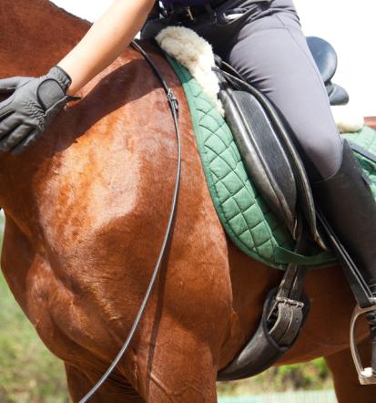 Beste Sommercamps mit Pferden in Barth