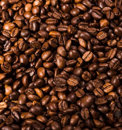 Bester Verkauf von italienischen Kaffeebohnen in Dortmund