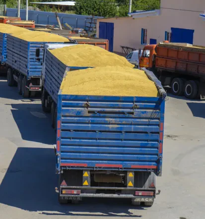 Professionelles Spezialtransport-Unternehmen in Düsseldorf und Umgebung