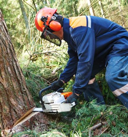 Hochwertige Top-Arbeitskleidung in Lindewerra und Umkreis
