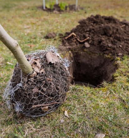 Bester Landschaftsbauer in Berlin und Umgebung