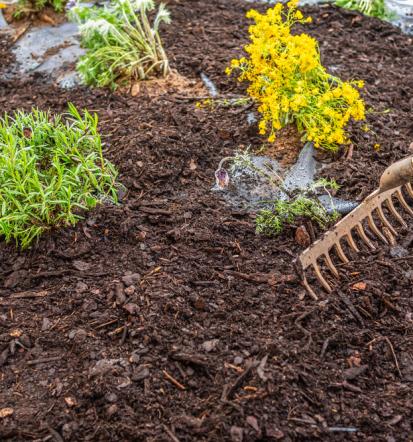 Nachhaltige Gartengestaltung in Berlin und Umgebung