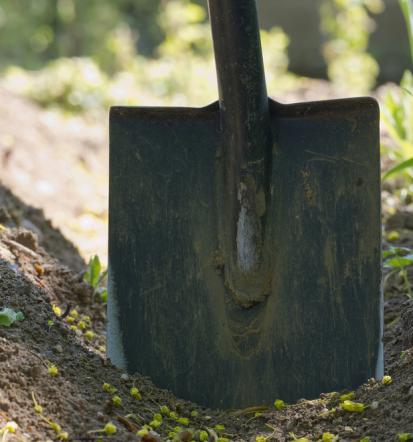 Vom Pflaster bis zur Bepflanzung, bester Garten- und Landschaftsbauer in Augsburg und Umgebung