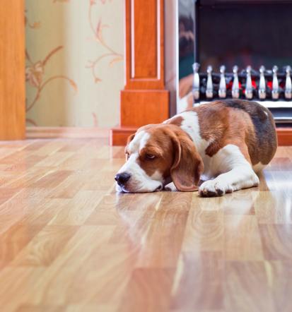 Günstige Parkettverlegung in Hessen