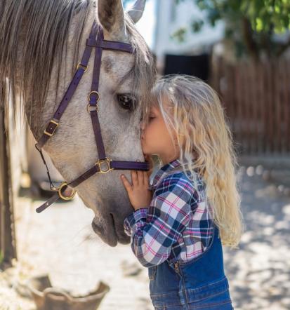 Sommercamps mit Pferden für Kinder in Barth