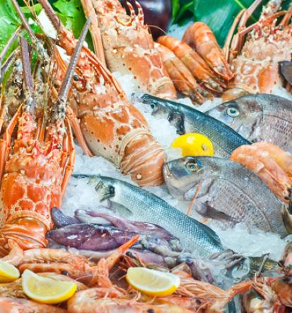 Super Fische Mölschow und Umgebung