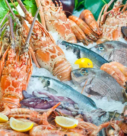 Super Fische Mölschow und Umgebung