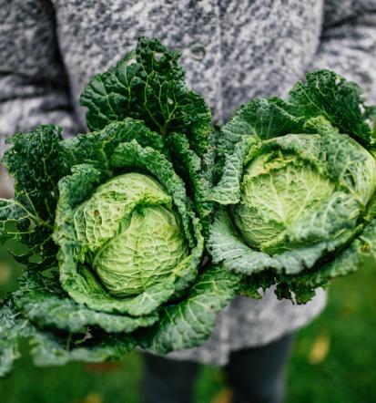 Transparentes Bio-Laden in Edendorf