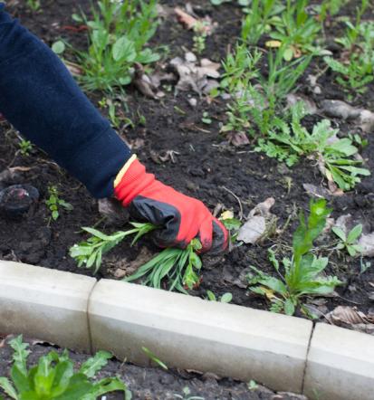 Bester Gartenservice in Cappeln und Umgebung - fair und professionell