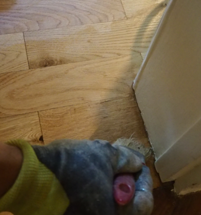 Individueller Möbelbau mit der besten Schreinerei in Gießen und Umgebung