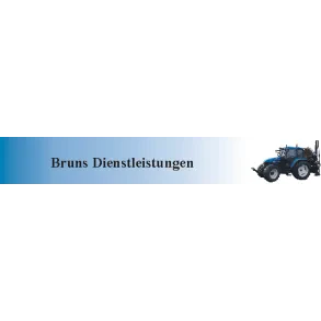Dietmar Bruns