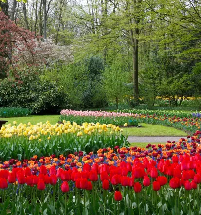 Experten für Garten- und Landschaftsbau in Löhnberg