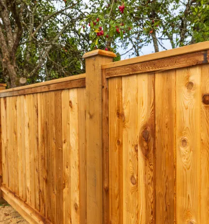 Profis für Gartenzäune Kaiserslautern und Umgebung
