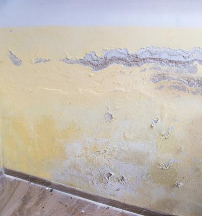 Günstige Wasserschädenbeseitigung in Freudenstadt