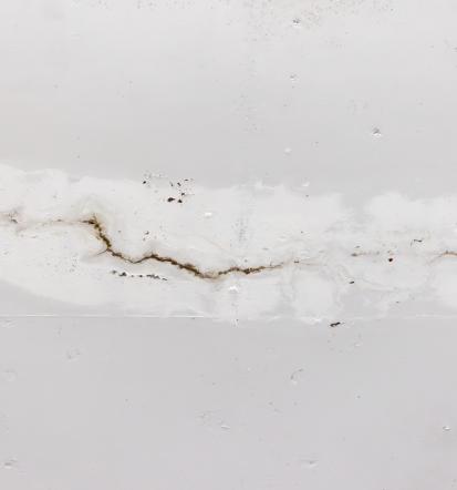 Professionelle Wasserschädenbeseitigung in Freudenstadt