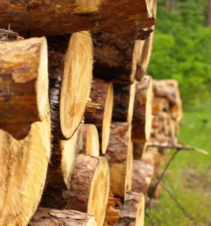 Zuverlässiger Anbieter für Produktion und Lieferung von Kaminholz in Hannover und Umgebung