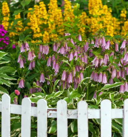 Gute Garten- und Landschaftspflege Baden Wüttenberg