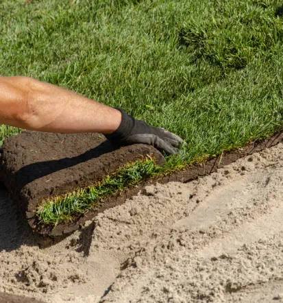Gartenneuanlage mit Rollrasen in Alzey