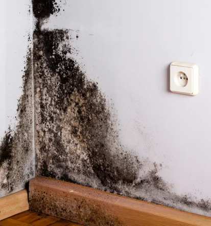 Fachgerechte Mauerwerkstrockenlegung Gröbenzell, München