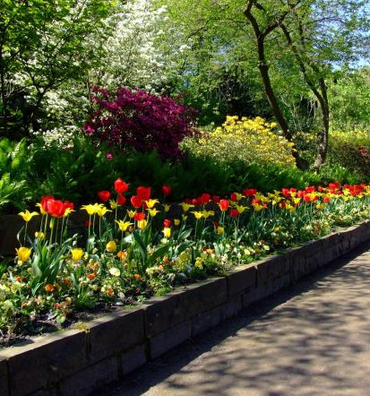 Profis für Gartengestaltung und Landschaftsbau im Rhein-Main-Gebiet