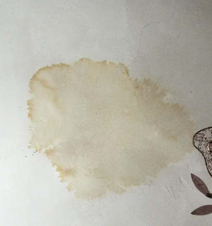 Professionelle Mauerwerkstrockenlegung Gröbenzell, München