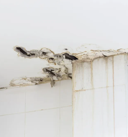 Beste Bauabdichtungen Idstein