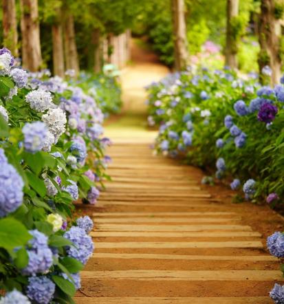 Gute Gartenpflege und Landschaftsbau im Rhein-Main-Gebiet
