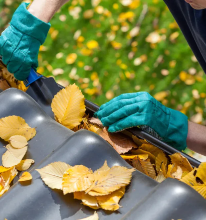 Günstige Dachrinnensanierungsfirma in Frankfurt