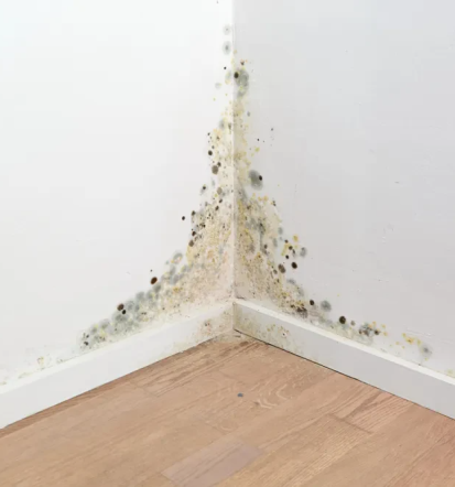 Schnelle Mauerwerkstrockenlegung Gröbenzell, München