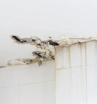 Günstiger Wasserschaden-Notrufservice Gröbenzell, München