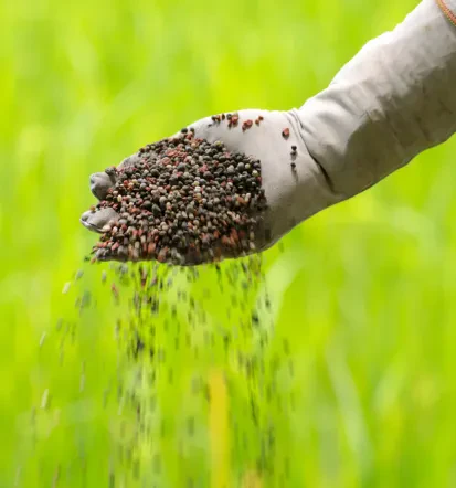 Guter Garten- und Landschaftsbau in Freigericht und Umgebung