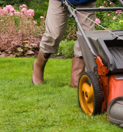Verschiedene Gartenarbeiten, auch Rasenmähnen, Mannheim und Umgebung
